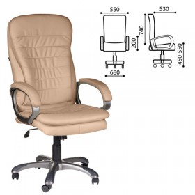 Кресло офисное BRABIX Omega EX-589 в Яровом - yarovoe.katalogmebeli.com | фото