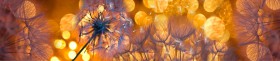 Кухонный фартук Мерцание Одуванчики золотистые 3 серебро в Яровом - yarovoe.katalogmebeli.com | фото